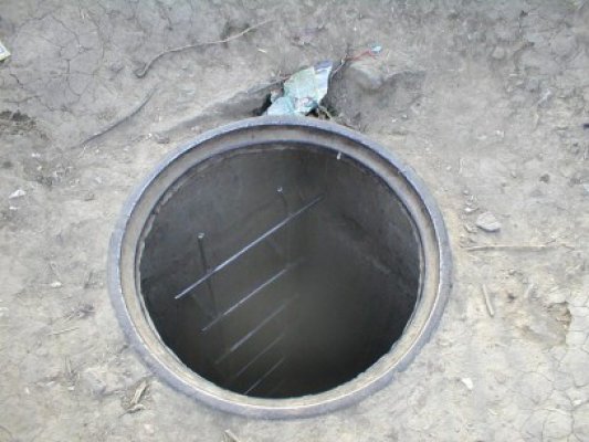 Pompierii, chemaţi să salveze un câine, la Mangalia